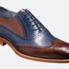 Chroma - Premium Quality Handmade Brogue Wingtip Leather Oxford Shoes