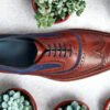 Bromley - Premium Quality Handmade Wingtip Brogue Leather Oxford Shoes