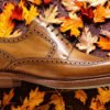 Hudson - Premium Quality Handmade Brogue Wingtip Leather Derby Shoes