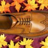 Hudson - Premium Quality Handmade Brogue Wingtip Leather Derby Shoes