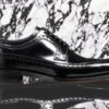 Regent - Premium Quality Handmade Leather Brogue Wingtip Derby Shoes