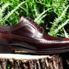 Regent - Brandy - Premium Quality Handmade Brogue Wingtip Leather Derby Shoes