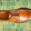 Regent - Premium Quality Handmade Leather Brogue Wingtip Derby Shoes