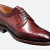 Regent - Premium Quality Handmade Leather Brogue Wingtip Derby Shoes