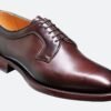 Skylark - Premium Quality Handmade Leather Derby Shoes